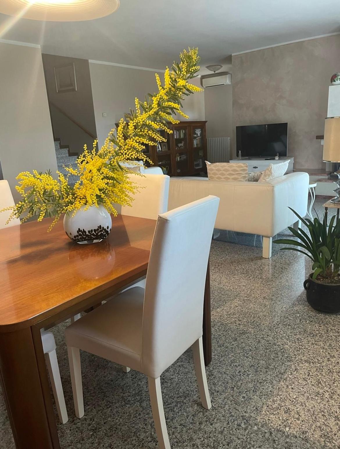 Badia Polesine B&B Amy&Julie מראה חיצוני תמונה