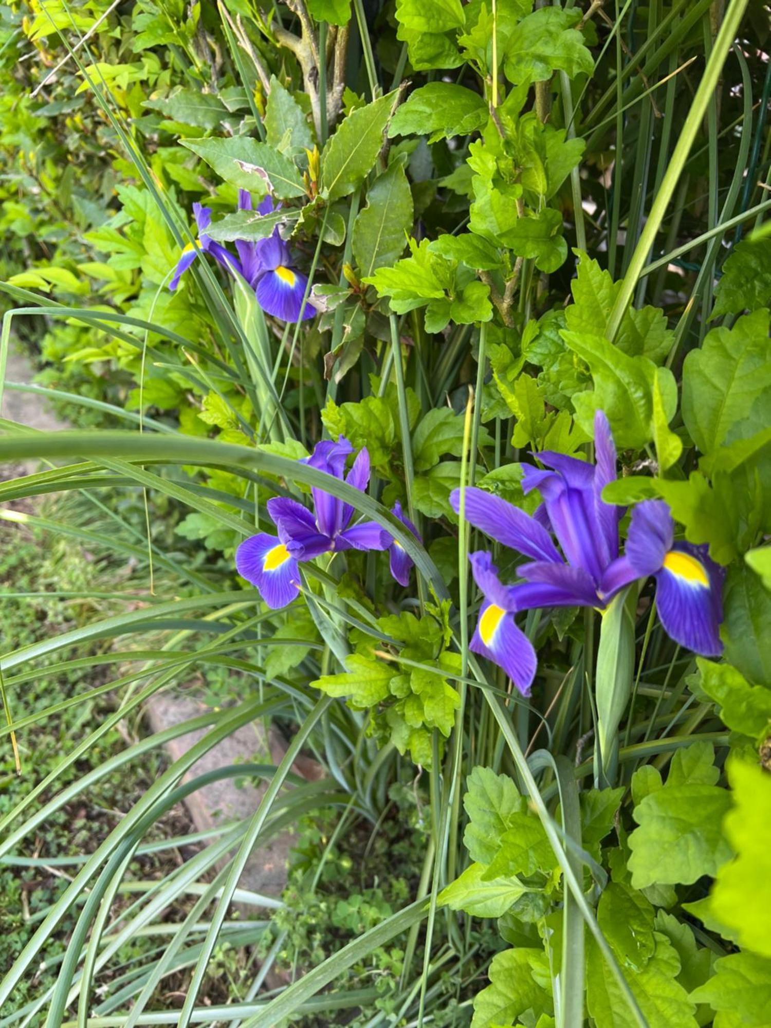 Badia Polesine B&B Amy&Julie מראה חיצוני תמונה