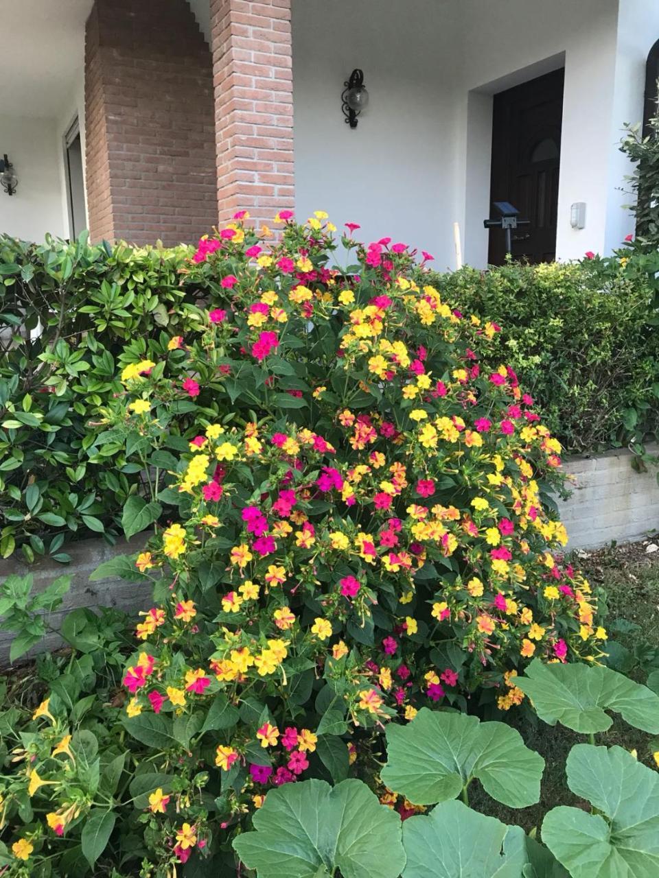 Badia Polesine B&B Amy&Julie מראה חיצוני תמונה
